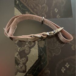 Dog Collar 