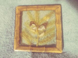 Coaster with sealed butterfly