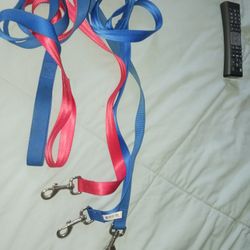 3 New Dog Leashes