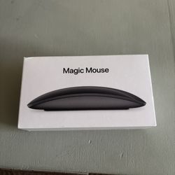 Magic Mouse 2