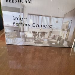 Camera Surveillance 