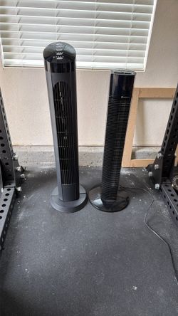 Fan