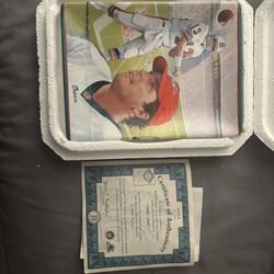 Dan Marino Collectable Plate 