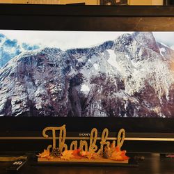 55” Sony LCD TV – $50 (Good Condition)