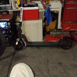 Go Trax  Scooter 