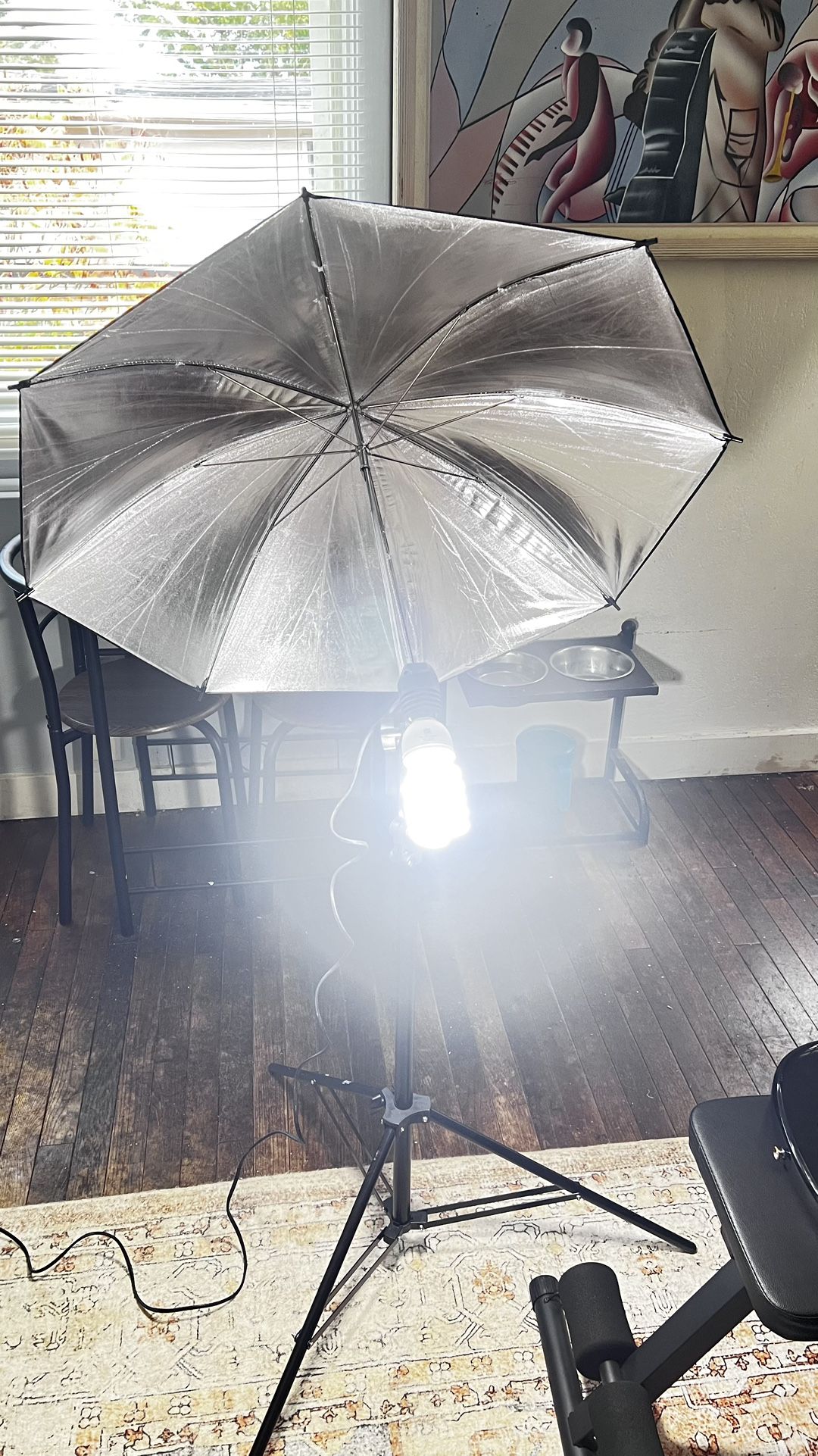 Pro Lighting Kit