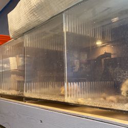 Aquarium Display