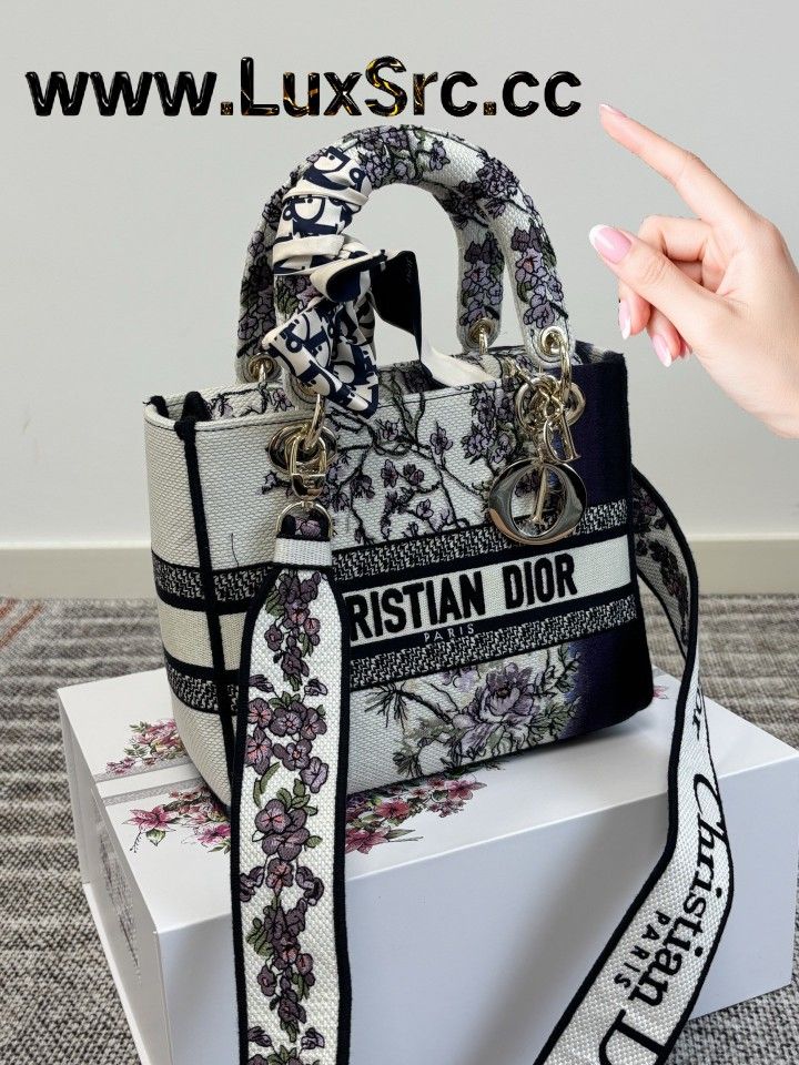 Dior Lady D-Lite Embroidered Bag
