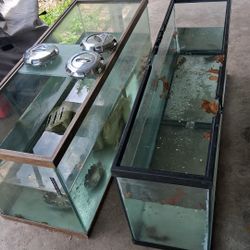 Aquarium Tanks 