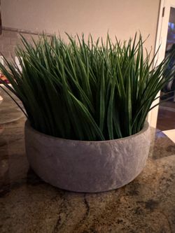Large Faux Artificial Grass Plant in Textured Cement Bowl