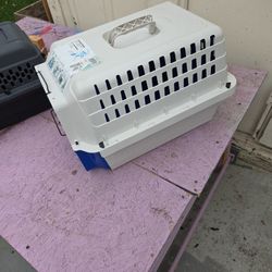 2 Transport  Cages  1 Small 1 Med.