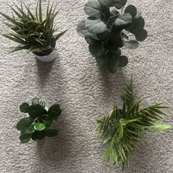 Assortment Of Fake Plants 
