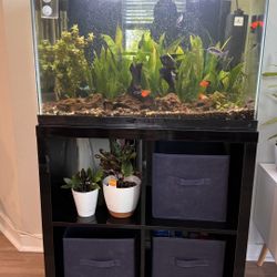 🪸 29-Gallon Aquarium Set with Stand – Fully Equipped