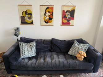 Blue Couch
