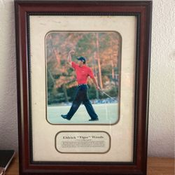 Tiger Woods Photo Frame