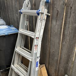 Werner Folding And Extendable Ladder