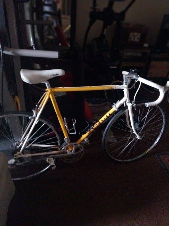 Selling a 1986 Centurion LeMans Roadbike Its A Large