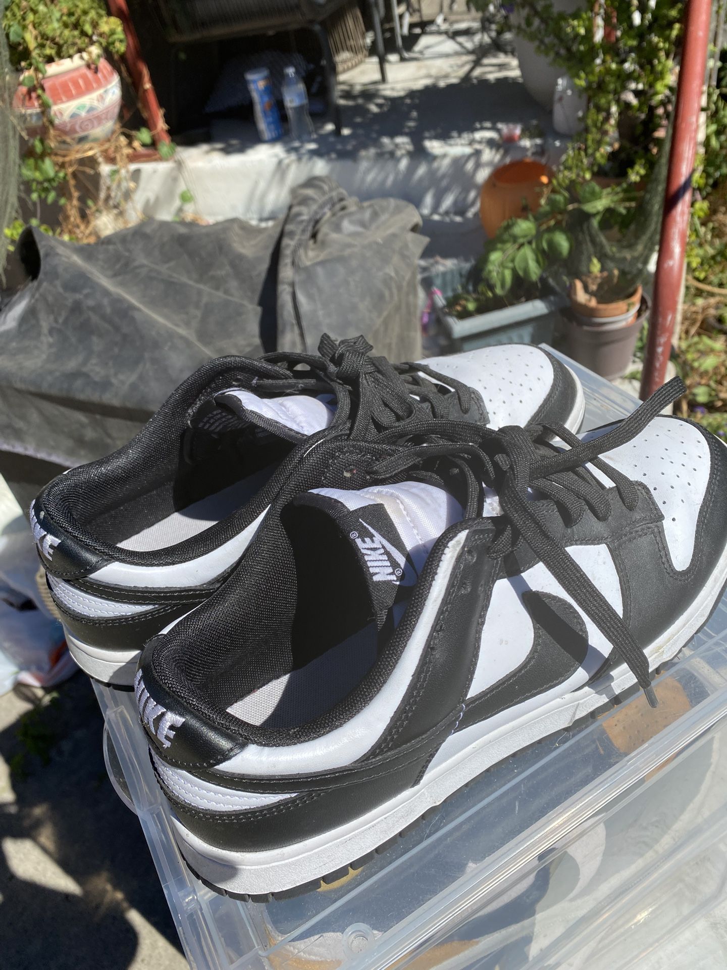 Panda Nikes
