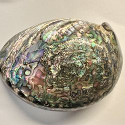 Vintage Abalone Shell Paua Very Rare and Unique POLISHED ON BOTH SIDES 6.5” x 5”