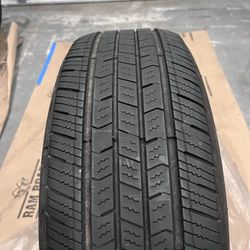 Arizonian Silver Edition All Season tire 195/65r15