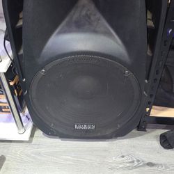 15 inch speaker with stand