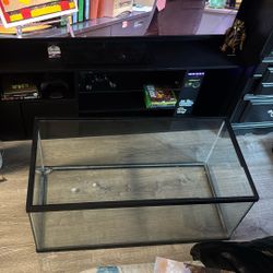 40 Gallon Tank/terrarium/Aquarium