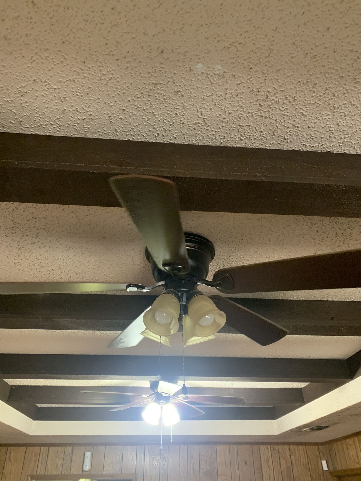 2 Fans $150