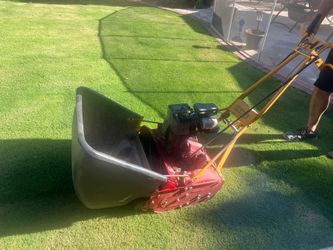 Gas Lawnmower