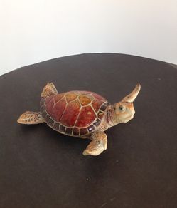 Turtles