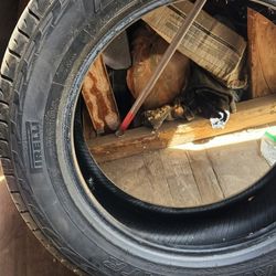 Pirelli Tire