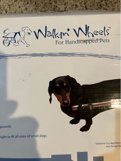 Pet wheelchair