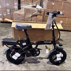 Brand New Electric Bike