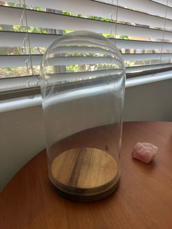 IKEA Härliga glass dome decor cloche