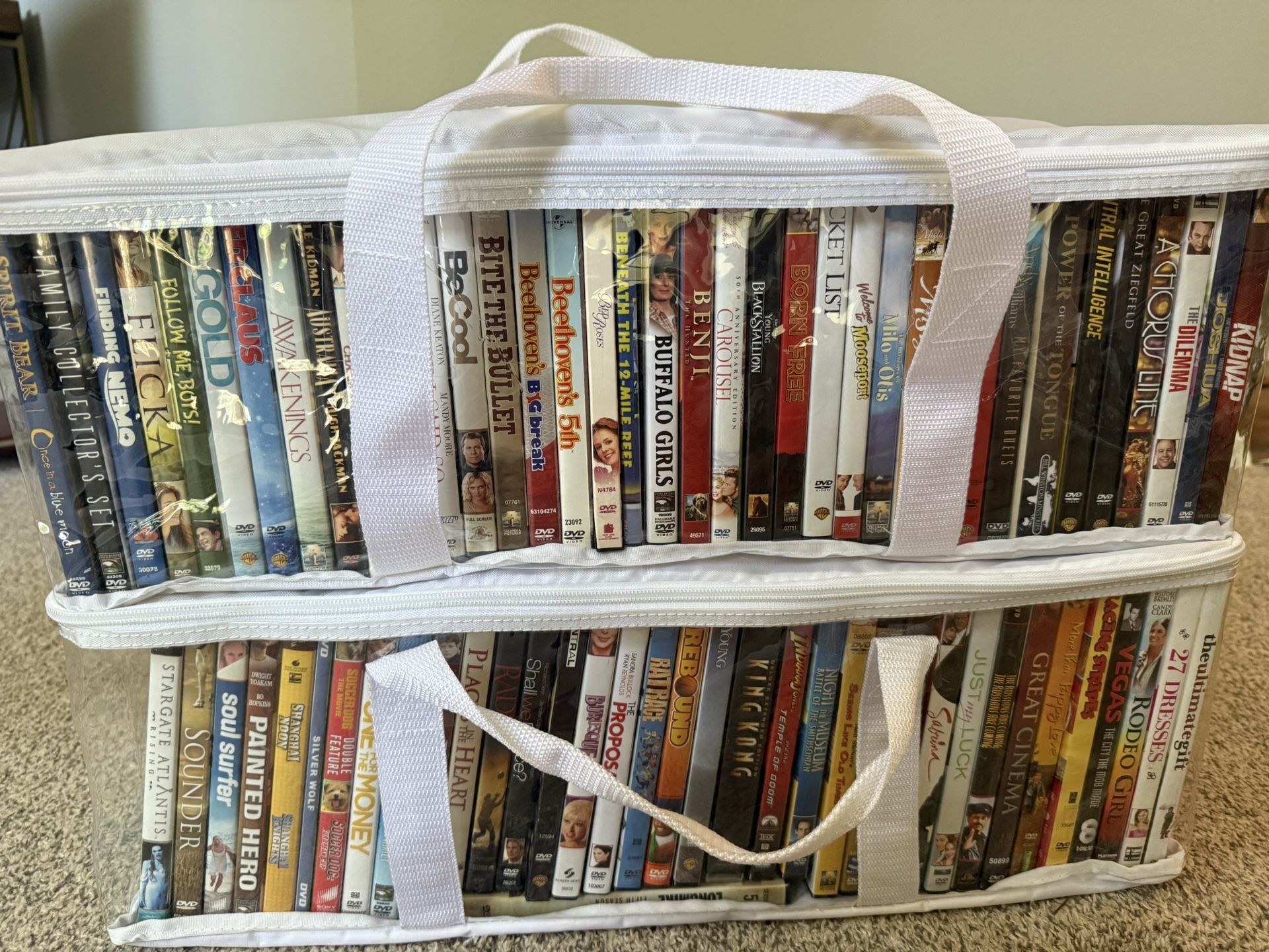Two Zip Cases Of DVD Movies - Zip Cases Included