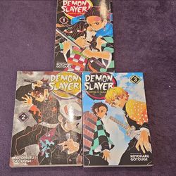 📚 Demon Slayer Manga Volumes 1–3 — Used