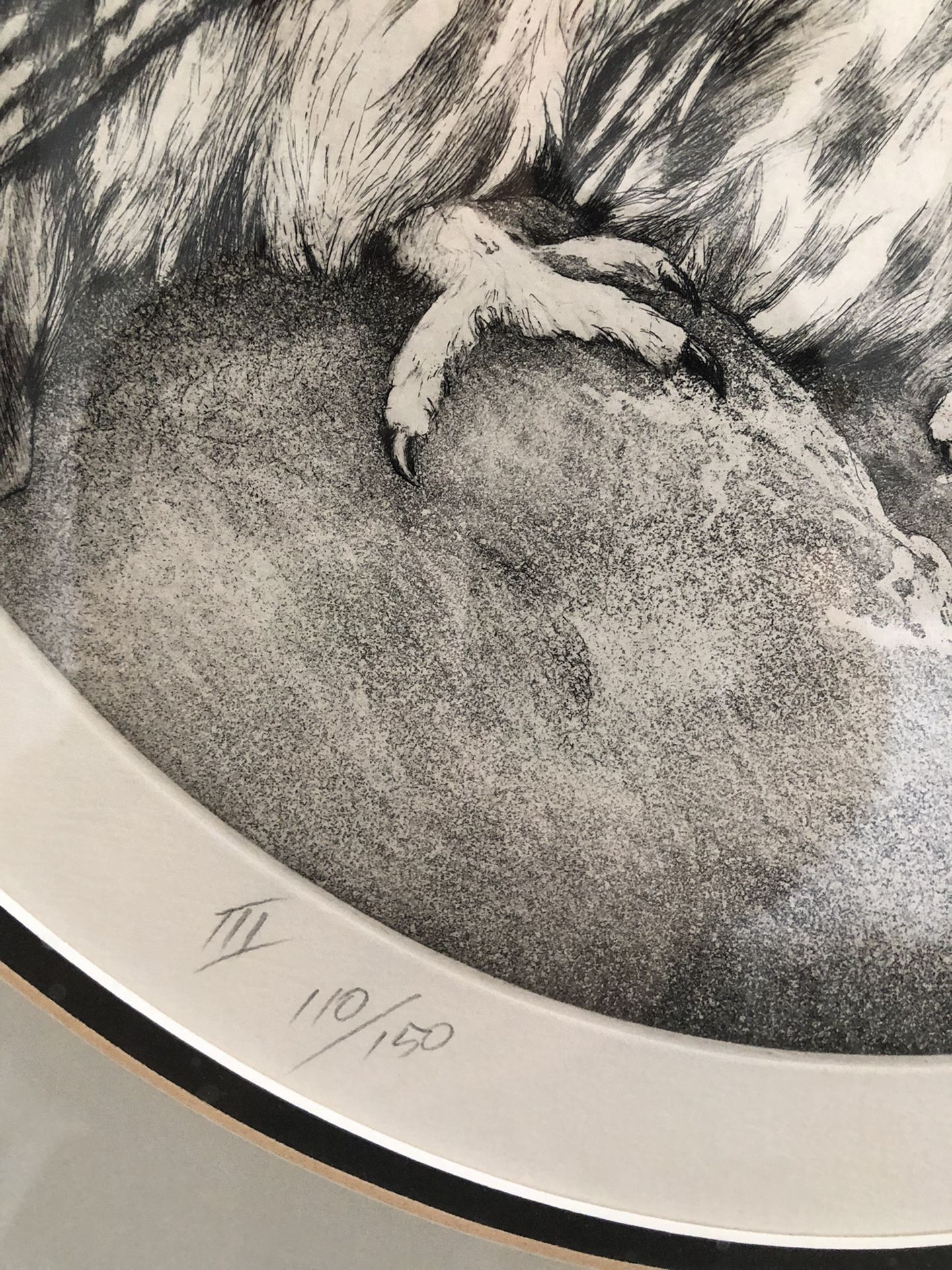 OWL様一枚 Owl Etching