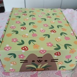 Pusheen Cat Kit Box