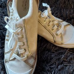 Coach Shoes