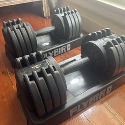 FLYBIRD Adjustable Dumbbells 55lbs