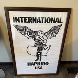 Framed International Hapkido USA Poster