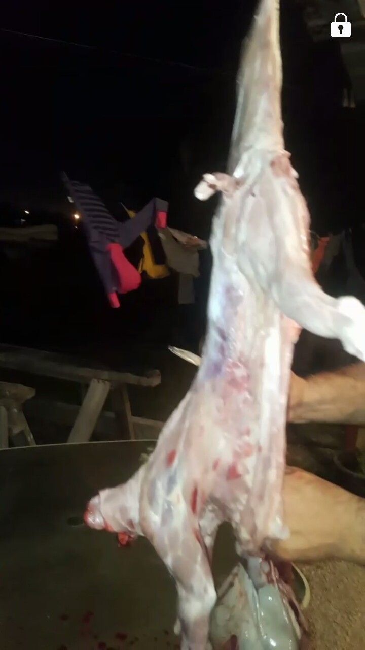 Cabrito resien descuerado y limpiado