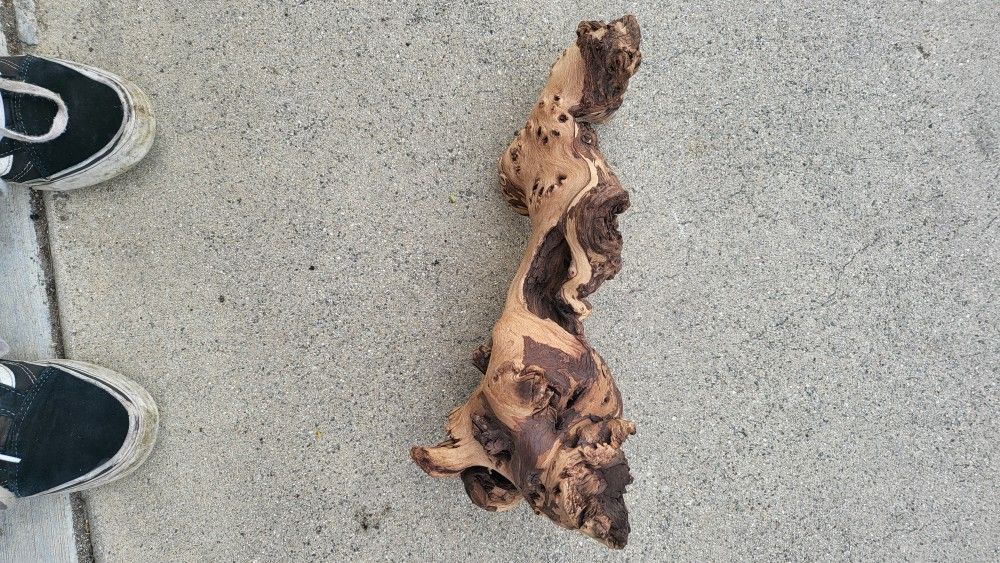 Fish Tank Aquatic Natural Mopani Wood
$7.00 Almost New