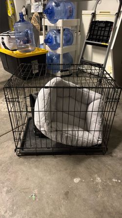 Puppy starter kit.