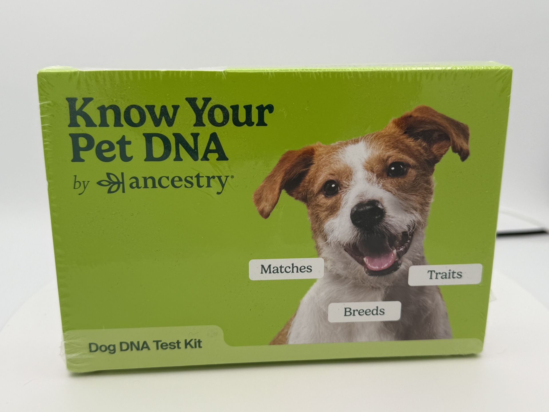 Ancestry DNA Kit