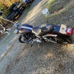 Harley 1200Custom Xl 