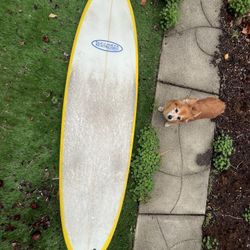 7’-1” Surfboard 