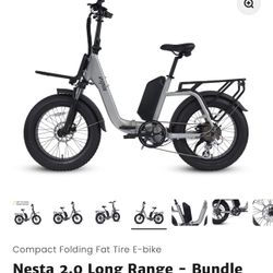 Electric Bike Nesta 2.0 Long Range 