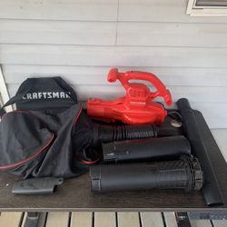 CRAFTSMAN 3-in-1 Leaf Blower, Leaf Vacuum and Mulcher, Up to 260 MPH, 12 Amp,