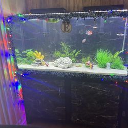 Fish Tank 60G With stand. 