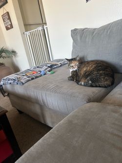 2 piece sectional right arm  left chaise for sale